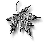 image11.gif (11936 bytes)